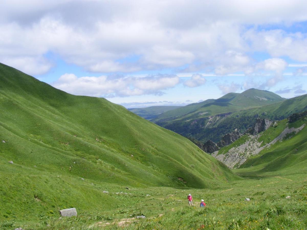 Logis Crozas La Cocotte Vernines